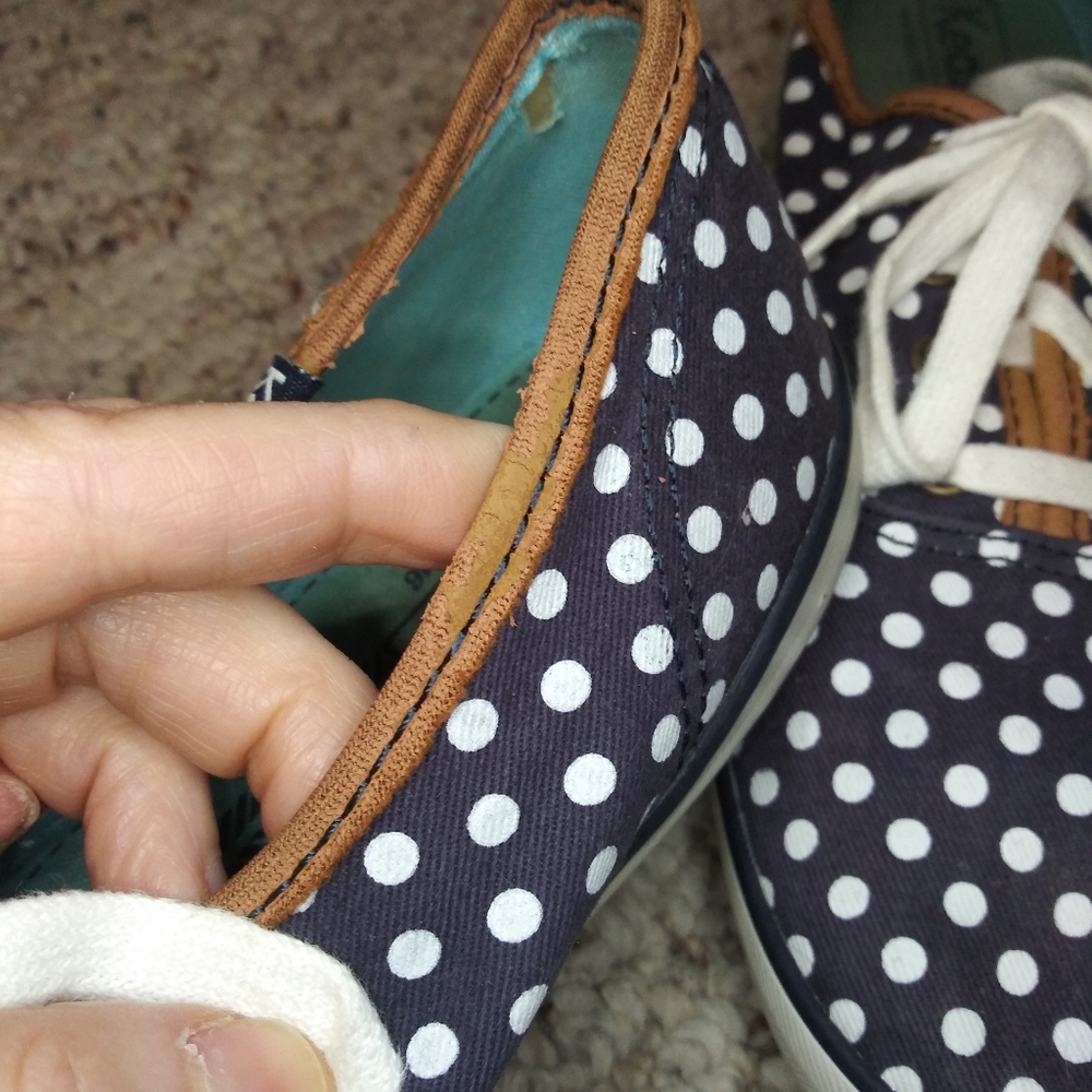 Keds Navy & White Polka Dot Champion Sneakers - Picture 9 of 11